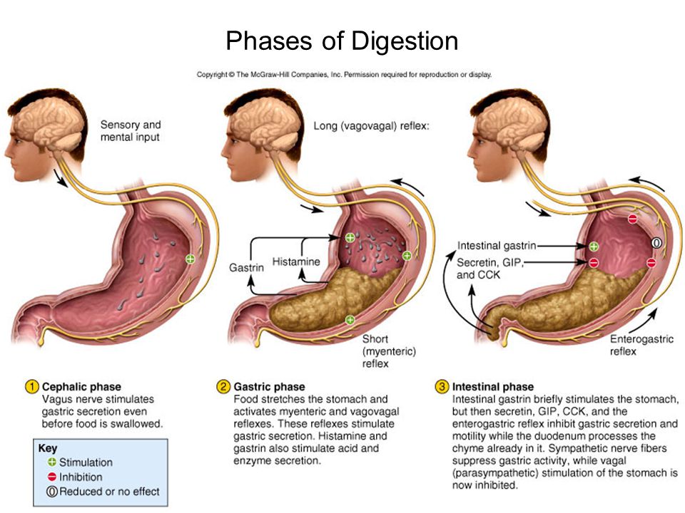 Corte de digestion por ansiedad